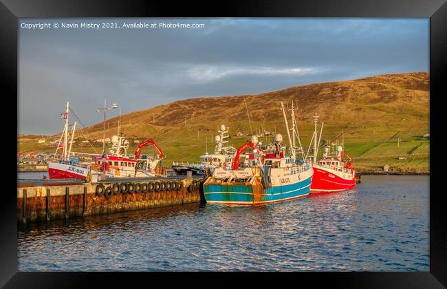 Fishing Boats in Scalloway Harbour, Shetland Isles Framed Print by Navin Mistry