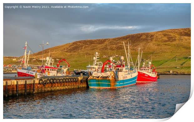 Fishing Boats in Scalloway Harbour, Shetland Isles Print by Navin Mistry