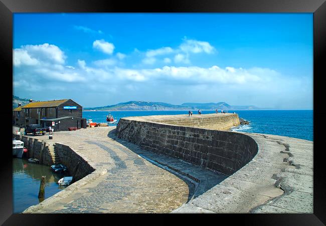 Lyme Regis The Cobb Framed Print by Alison Chambers