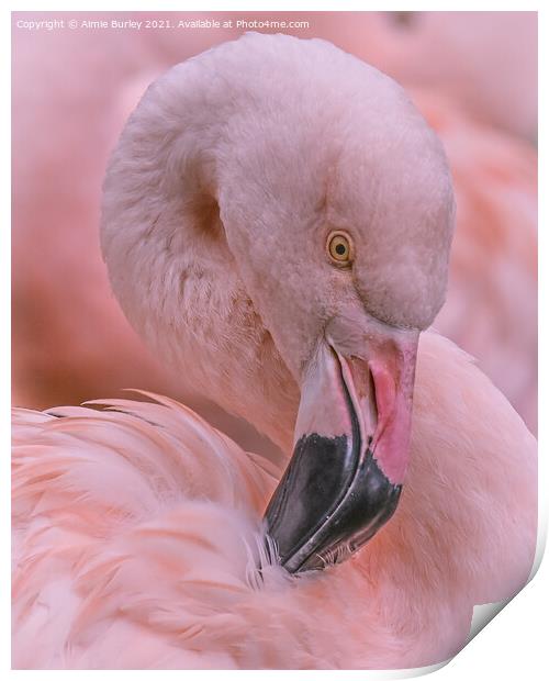 Pretty Flamingo Print by Aimie Burley