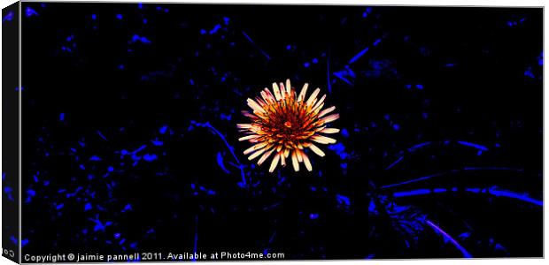 fiori blu Canvas Print by jaimie pannell