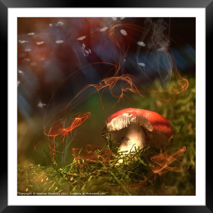 Magical Mushroom Framed Mounted Print by Heather Sheldrick