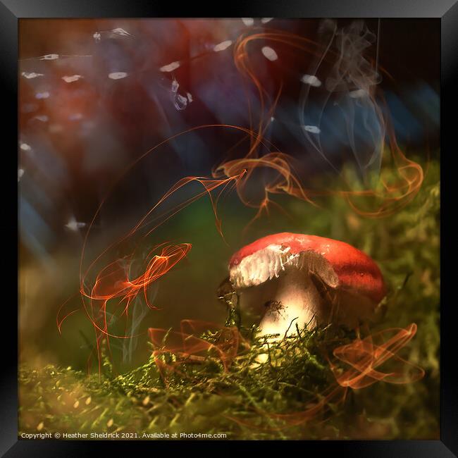 Magical Mushroom Framed Print by Heather Sheldrick