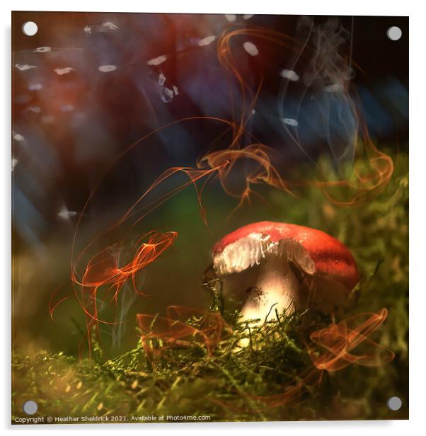Magical Mushroom Acrylic by Heather Sheldrick
