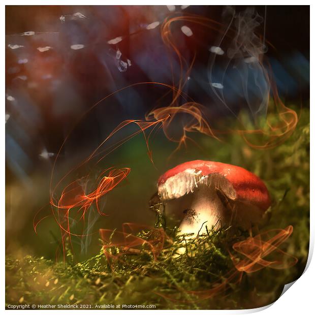 Magical Mushroom Print by Heather Sheldrick