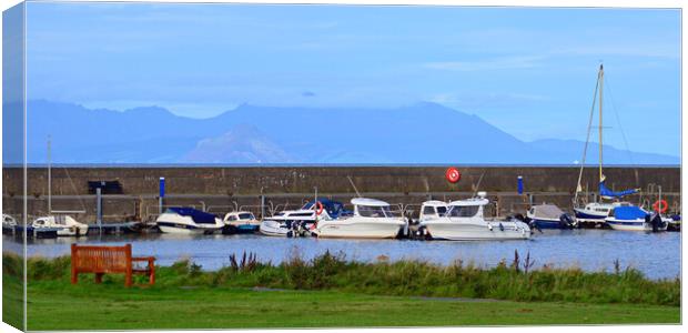 Maidens harbour boats and Arran Canvas Print by Allan Durward Photography