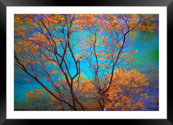 Kaleidoscope of Color Grassi Lakes Canmore Alberta Framed Mounted Print by PAULINE Crawford