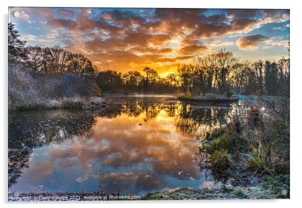 A New Day Begins - Sandhurst, Berkshire Acrylic by Dave Williams