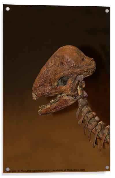 Prehistoric Dinosaur Dino Bones Skull Drumheller A Acrylic by PAULINE Crawford