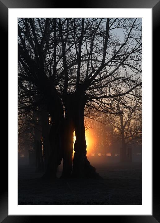 Sunrise in Bushy Park Framed Mounted Print by Jennifer Walker
