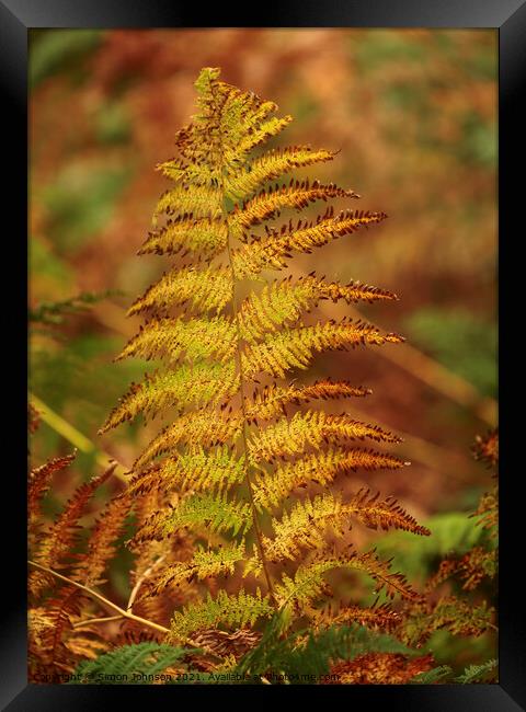 Plant leaves Framed Print by Simon Johnson