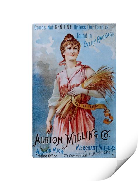 Albion Milling Co Print by Raymond Evans