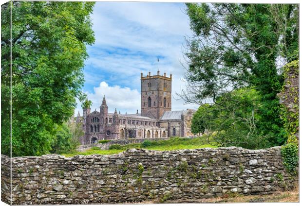 St David's Cathedral Canvas Print by Rick Lindley