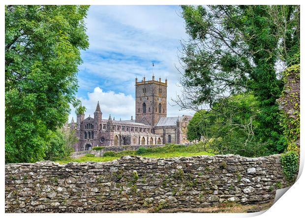 St David's Cathedral Print by Rick Lindley