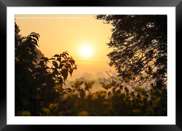 Colourful Misty Morning Sunrise, Teesdale, County  Framed Mounted Print by David Forster