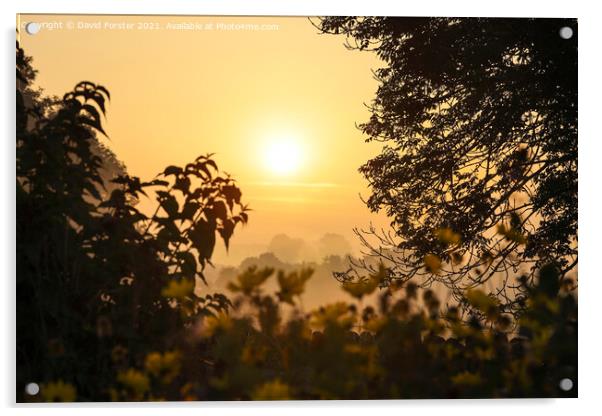 Colourful Misty Morning Sunrise, Teesdale, County  Acrylic by David Forster