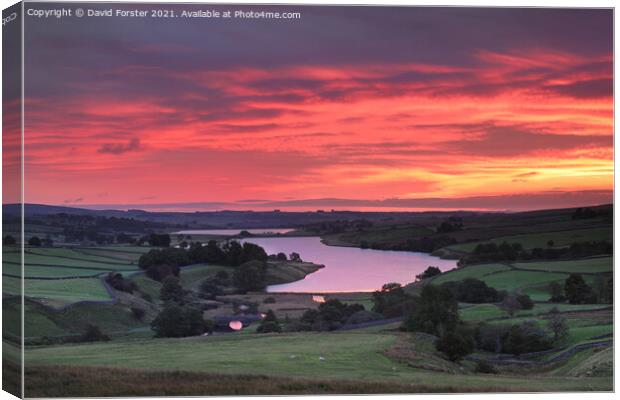 Beautiful Red Dawn Sky over Baldersdale, Teesdale, UK Canvas Print by David Forster