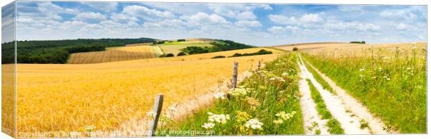 The South Downs Way Panorama Canvas Print by Justin Foulkes