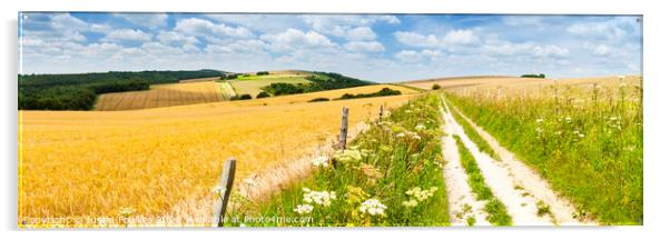 The South Downs Way Panorama Acrylic by Justin Foulkes