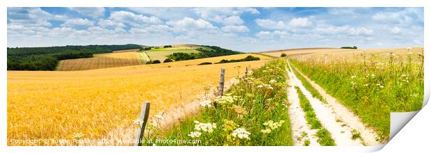The South Downs Way Panorama Print by Justin Foulkes