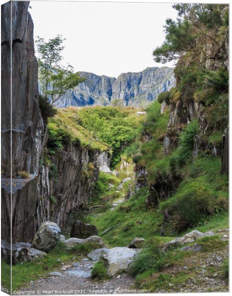 Tin Can Alley to Devils Kitchen in Cwm Idwal Canvas Print by Pearl Bucknall