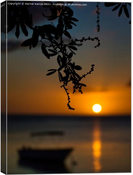 Silhouette of branch with sunset at the back Canvas Print by Rachid Karroo