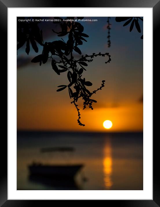 Silhouette of branch with sunset at the back Framed Mounted Print by Rachid Karroo