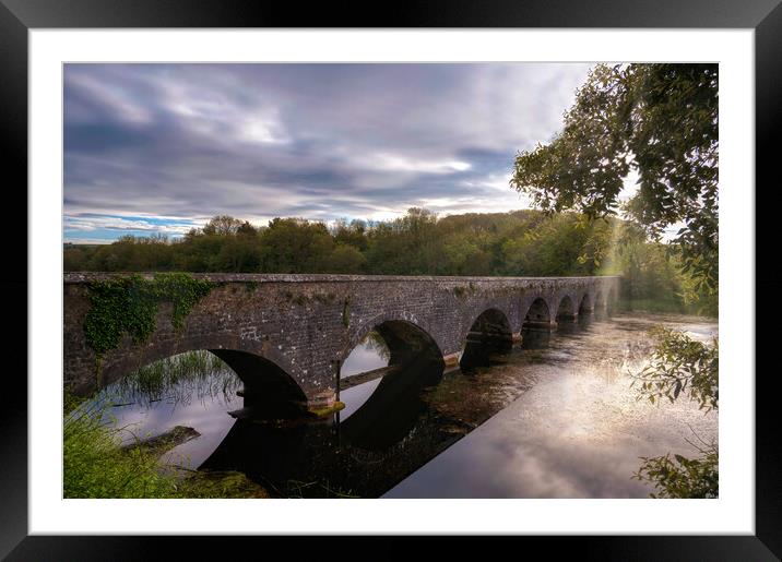 Eight Arch Bridge at Bosherston Lily Ponds Framed Mounted Print by Tracey Turner