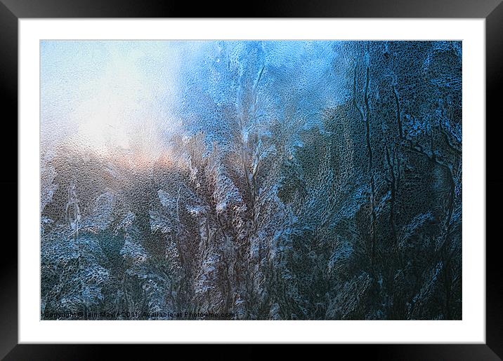 Winter Ice Framed Mounted Print by Iain Mavin