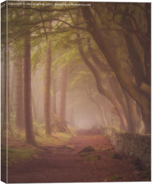Morning Mist Canvas Print by Paul Andrews