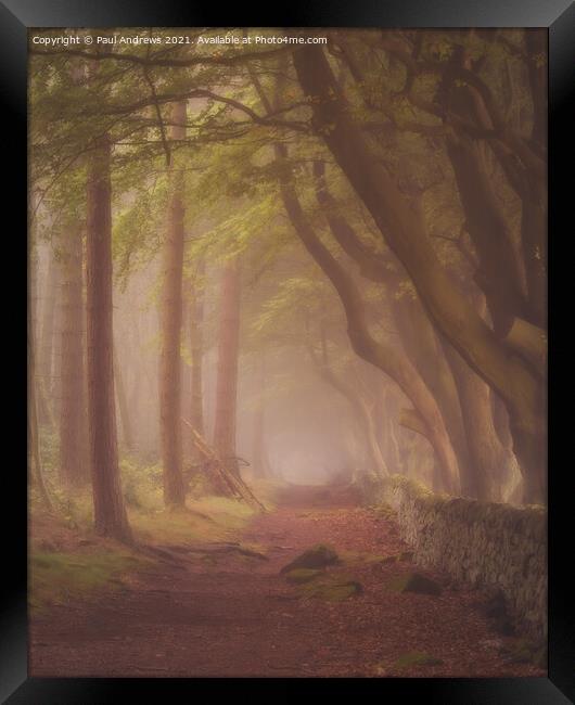Morning Mist Framed Print by Paul Andrews