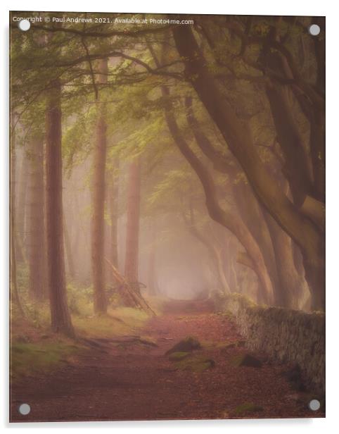 Morning Mist Acrylic by Paul Andrews