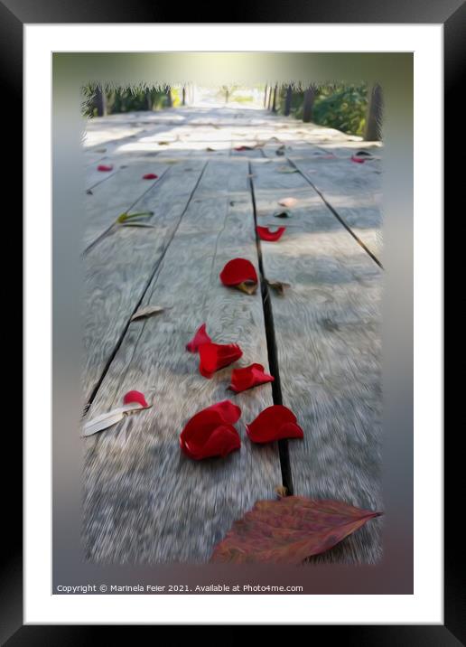Lost red petals Framed Mounted Print by Marinela Feier