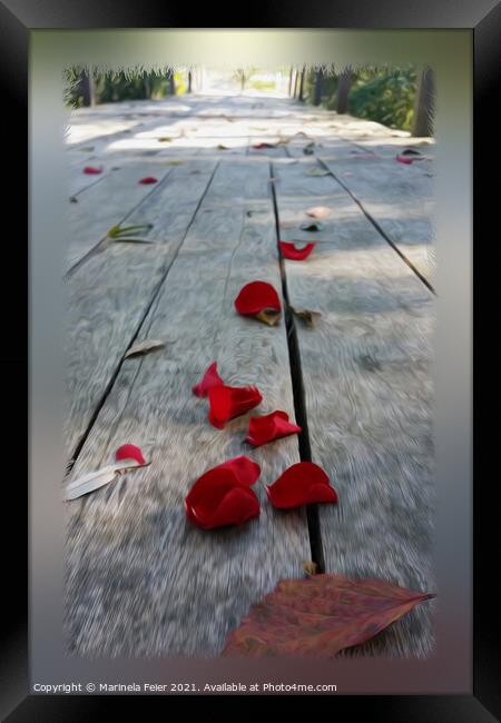 Lost red petals Framed Print by Marinela Feier