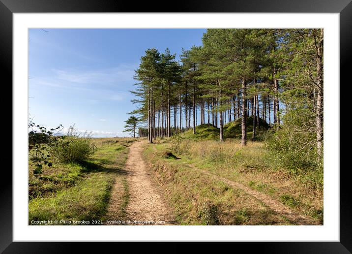 Newborough Forest Framed Mounted Print by Philip Brookes