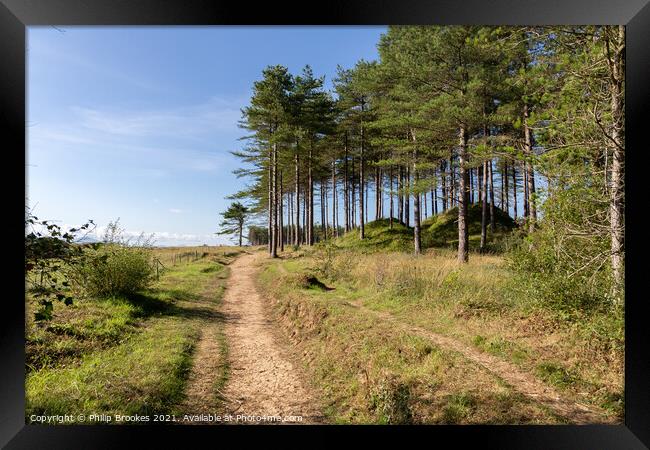 Newborough Forest Framed Print by Philip Brookes