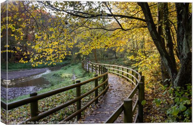 Autumnal Wepre Park Canvas Print by Philip Brookes
