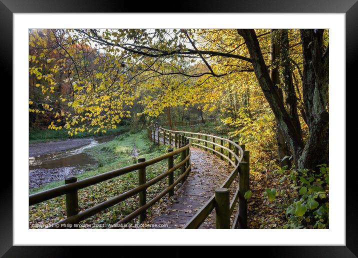 Autumnal Wepre Park Framed Mounted Print by Philip Brookes