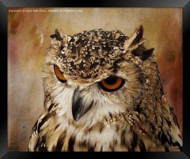 Eagle Owl Framed Print by Lynn Bolt