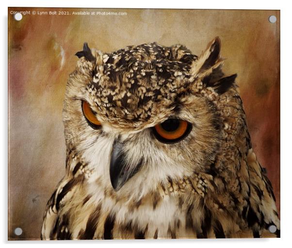Eagle Owl Acrylic by Lynn Bolt