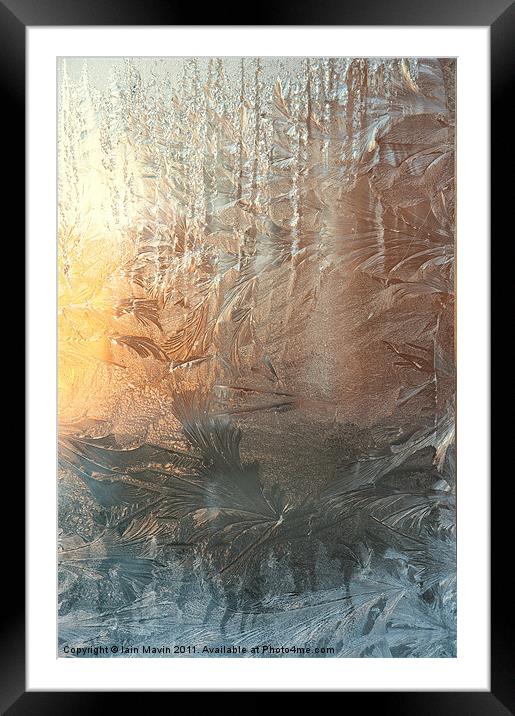 Frosted Art Framed Mounted Print by Iain Mavin