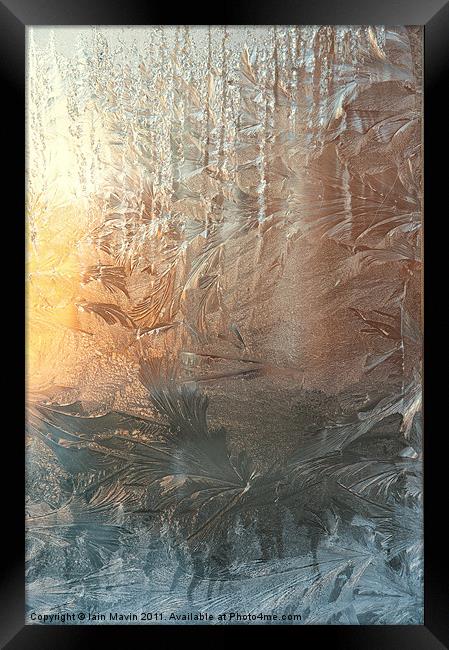 Frosted Art Framed Print by Iain Mavin