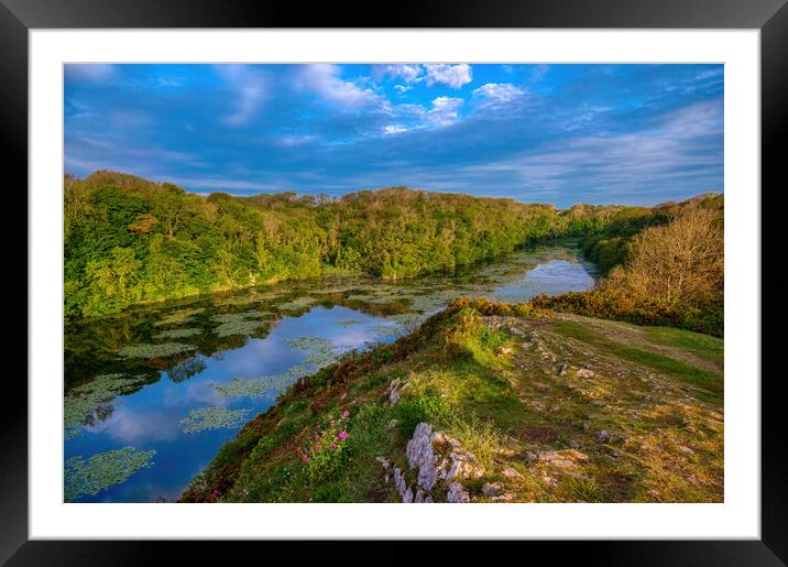 Bosherston Lily Ponds, Pembrokeshire Framed Mounted Print by Tracey Turner