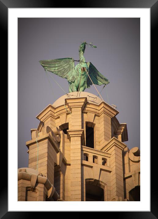 Golden hour Liver bird, Liverpool Waterfront Framed Mounted Print by Liam Neon
