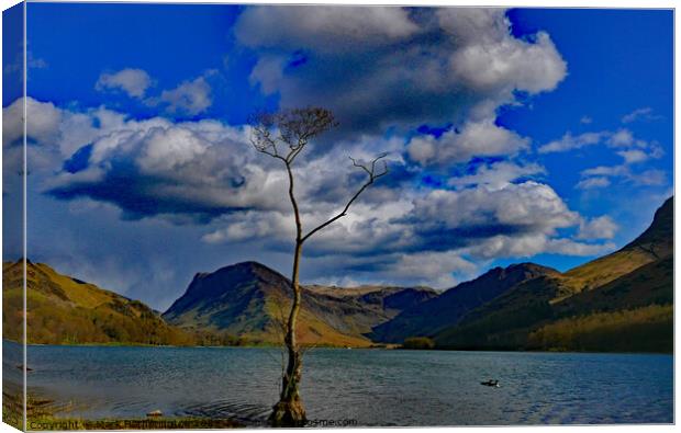 Buttermere Lone Tree Canvas Print by Mark Hetherington