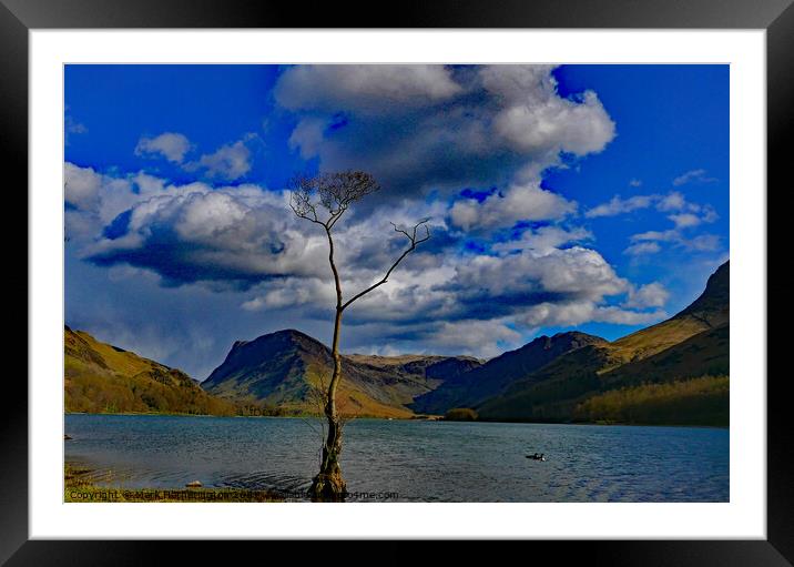 Buttermere Lone Tree Framed Mounted Print by Mark Hetherington