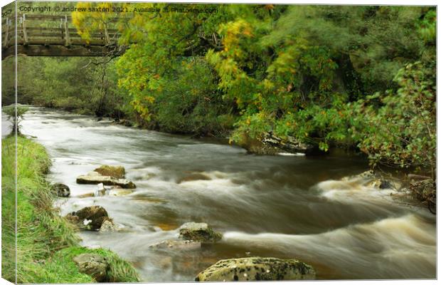 WATER UNDER THE BRIDGE  Canvas Print by andrew saxton