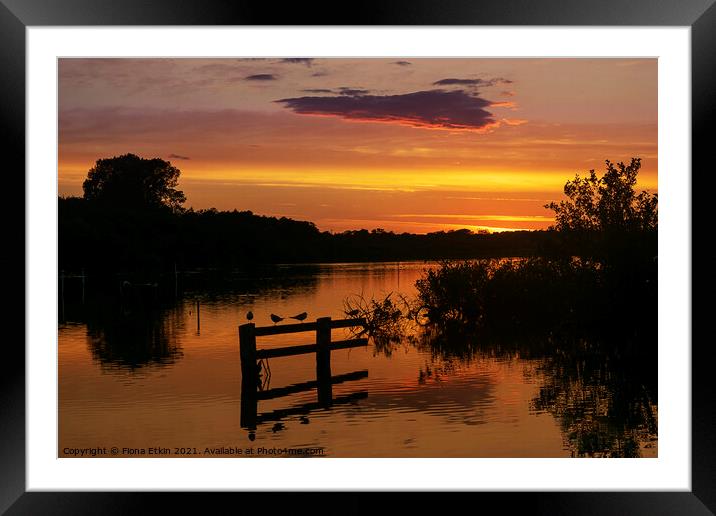 Sunset at Ranworth RSPB  Framed Mounted Print by Fiona Etkin