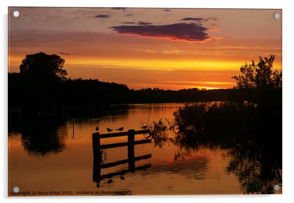 Sunset at Ranworth RSPB  Acrylic by Fiona Etkin