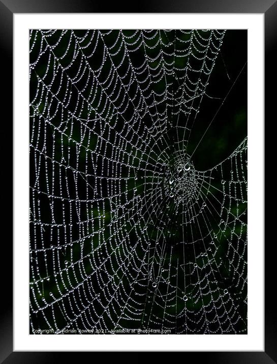 Dew on web Framed Mounted Print by Adrian Rowley